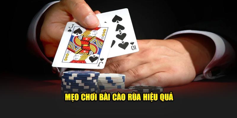 Mẹo chơi bài cào rùa hiệu quả