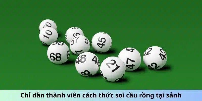 Chỉ dẫn thành viên cách thức soi cầu rồng 247 tại sảnh