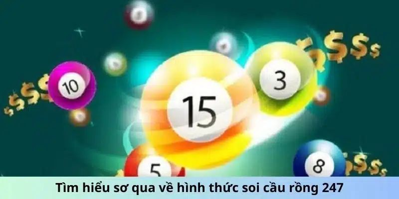 Tìm hiểu sơ qua về hình thức soi cầu rồng 247