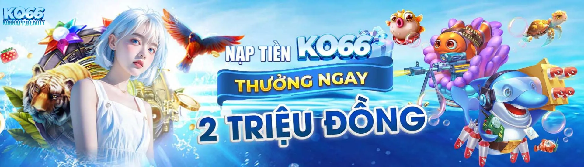 banner ko66